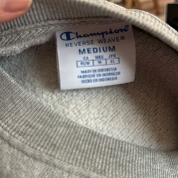 Champion Cropped Sweatshirt - Picture 12 of 14